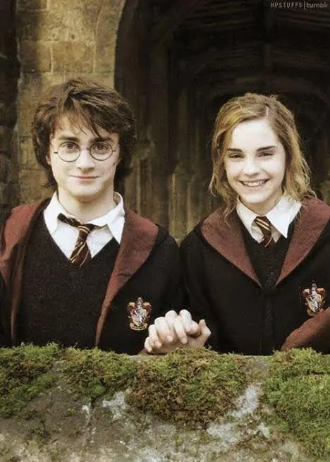 harry potter and hermione granger